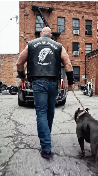 My dog and I were calmly walking toward my motorcycle to head home when my usually peaceful dog suddenly jumped onto the trunk of a stranger’s car and began barking furiously