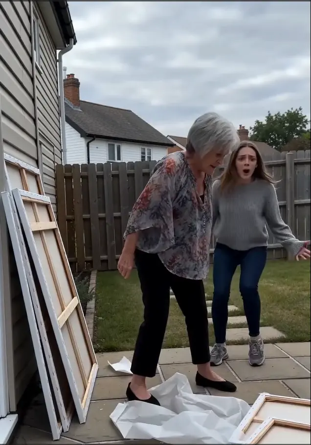 The Lady From the House Next Door Destroyed My Paintings — She Was Desperate to Stop Me From Painting One Particular Thing