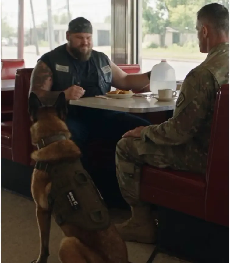 They Drenched My Retired War Dog and Laughed. Before Midnight, I Learned Why the Entire Town Had Been Waiting for Us.